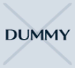 DummyIcon Borderless.png