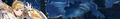 21403 01.png