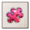26 10101.png