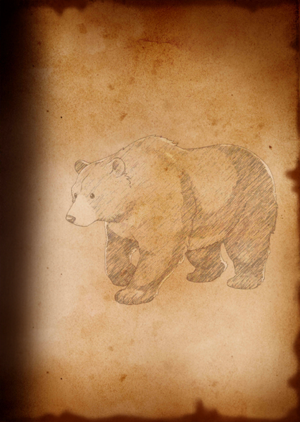 File:BOOK 120028 01.png