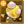 Wandering Shroom Enemy Icon.png