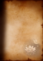 Thumbnail for version as of 05:29, 21 May 2026