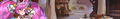 21304 03.png