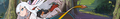 20423 02.png