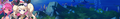 22215 01.png