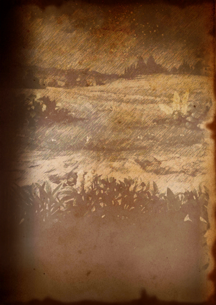 File:BOOK sty bg 0022 300.png