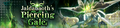 Banner Jaldabaoth's Piercing Gale.png