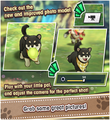 Wagabond Pupper Prologue 03.png