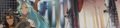 Event Banner Val19 RL.png
