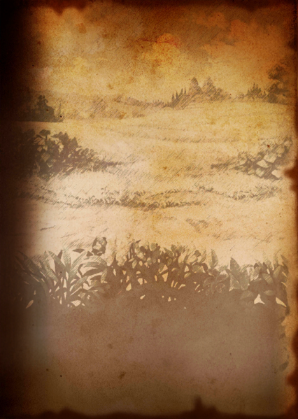 File:BOOK sty bg 0022 100.png