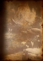 BOOK sty bg 0053 100.png