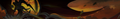 20440 03.png