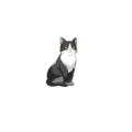 120190 01 base portrait.png