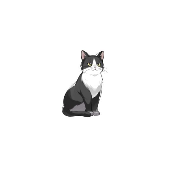 File:120190 01 base portrait.png