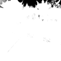 Sty bg 0060 100 02 alpha.png