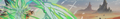10024 07.png