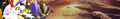 20417 05.png