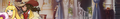10016 12.png
