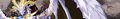 20423 08.png
