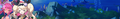 22215 05.png