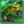 Void Zephyr Enemy Icon.png