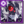 Catoblepas Skia Enemy Icon.png