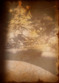 BOOK sty bg 0027 303.png