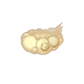 Thumbnail for version as of 05:15, 21 May 2026