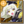 Void Jeanne d'Arc Enemy Icon.png
